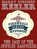 The Case of the Jeweled Ragpicker (eBook, ePUB)