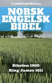 Norsk Engelsk Bibel (eBook, ePUB)