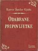 Odabrane pripovijetke (eBook, ePUB)