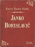 Janko Borislavić (eBook, ePUB)