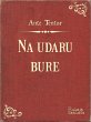Na udaru bure (eBook, ePUB) - Bild 1