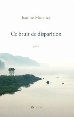 Cover Ce bruit de disparition (eBook, ePUB)