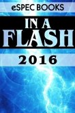 In A Flash 2016 (eBook, ePUB)