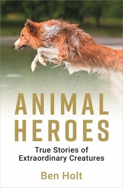 Animal Heroes (eBook, ePUB) - Holt, Ben