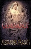 Geminknot (eBook, ePUB)