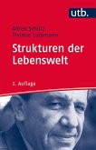 Strukturen der Lebenswelt