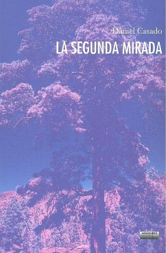 LA SEGUNDA MIRADA Cover LA SEGUNDA MIRADA