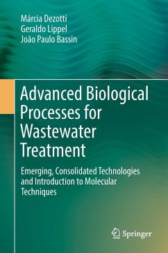 Advanced Biological Processes for Wastewater Treatment - Dezotti, Márcia;Lippel, Geraldo;Bassin, João Paulo