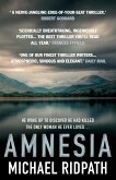 Amnesia (eBook, ePUB)