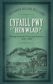 Cyfaill Pwy o'r Hen Wlad? (eBook, ePUB)