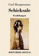 Schicksale (eBook, ePUB) - Bild 1