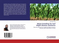 Maize breeding for leaf blight disease resistance