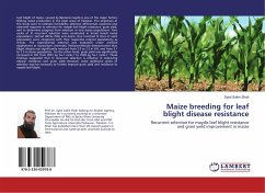 Maize breeding for leaf blight disease resistance - Shah, Syed Salim