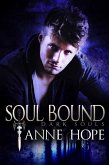 Soul Bound (Dark Souls, #1) (eBook, ePUB)