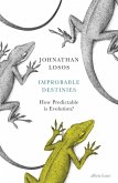 Improbable Destinies (eBook, ePUB)