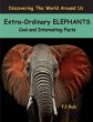 Extra-Ordinary Elephants - Bild 1