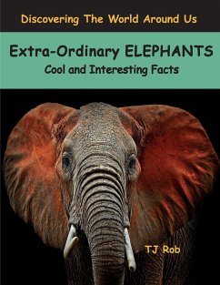 Extra-Ordinary Elephants - Rob, Tj