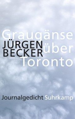 Graugänse über Toronto - Becker, Jürgen