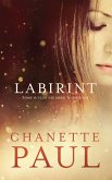 Labirint (eBook, ePUB)