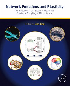 Network Functions and Plasticity (eBook, ePUB)