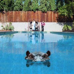 Cover Hippopotamus (2lp)