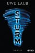 Sturm (eBook, ePUB) - Bild 1