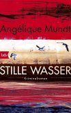 Stille Wasser / Tessa Ravens Bd.3 (eBook, ePUB)