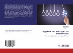 Big Data and Start-ups: An Introduction