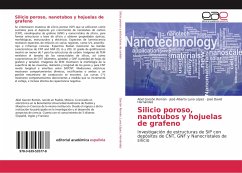 Silicio poroso, nanotubos y hojuelas de grafeno - Garzón Román, Abel;Luna López, José Alberto;Hernández, José David