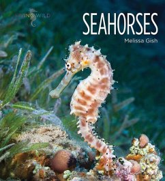 Seahorses - Gish, Melissa