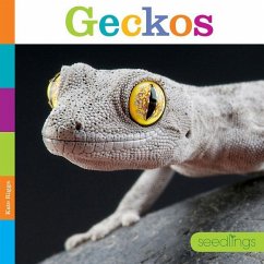 Geckos - Riggs, Kate