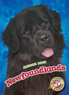 Newfoundlands - Sommer, Nathan