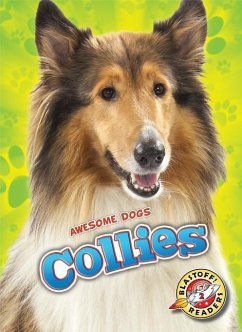 Collies - Schuh, Mari C