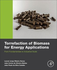 Torrefaction of Biomass for Energy Applications - Nunes, Leonel Jr; De Oliveira Matias, Joao Carlos; Da Silva Catalao, Joao Paulo