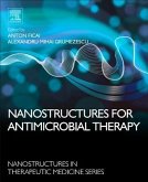 Nanostructures for Antimicrobial Therapy
