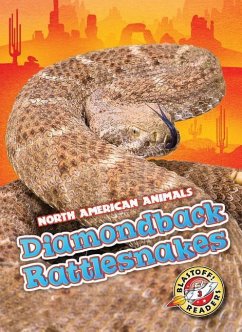 Diamondback Rattlesnakes - Rathburn, Betsy