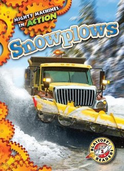 Snowplows - Pettiford, Rebecca