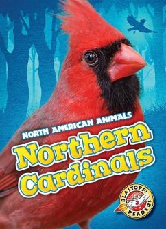 Northern Cardinals - Borgert-Spaniol, Megan