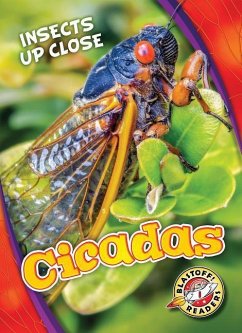 Cicadas - Leaf, Christina