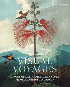 Visual Voyages - Bleichmar, Daniela