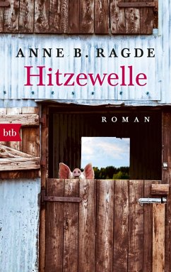 Hitzewelle / Die Lügenhaus-Serie Bd.3 - Ragde, Anne B.