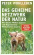 Das geheime Netzwerk der Natur - Bild 1