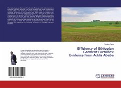 Efficiency of Ethiopian Garment Factories: Evidence from Addis Ababa