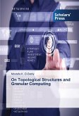 On Topological Structures and Granular Computing On Topological Structures and Granular Computing