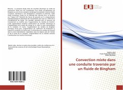 Convection mixte dans une conduite traversée par un fluide de Bingham - Labsi, Nabila;Benkahla, Youb Khaled;Berabou, Welid