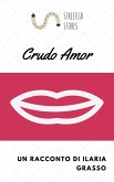 Crudo amor (eBook, ePUB)