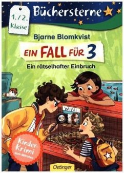 Ein rätselhafter Einbruch / Ein Fall für 3 Bd.2 - Blomkvist, Bjarne