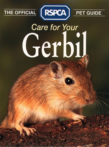 Care for your Gerbil (eBook, ePUB)