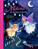 Maluna Mondschein und die kleine Lichterfee / Maluna Mondschein Bd.10