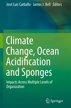 Climate Change, Ocean Acidification and Sponges